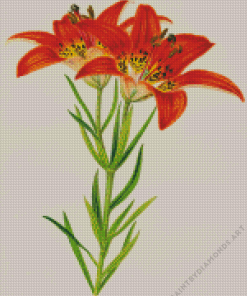 Western Red Lilies Art Diamond Painting