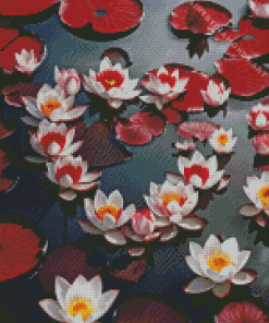 White And Red Water Lilies Diamond Painting