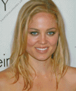 Young Actress Erika Christensen Diamond Painting