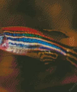 Zebrafish Diamond Painting