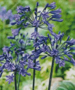 Agapanthus Plant Diamond Painting