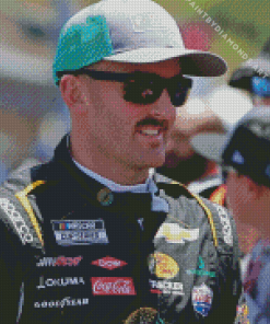 Austin Dillon Diamond Painting