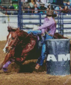 Barrel Racer Diamond Painting