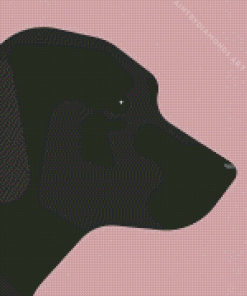 Black Labrador Retriever Diamond Painting