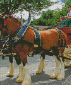 Budweiser Clydesdales Diamond Painting