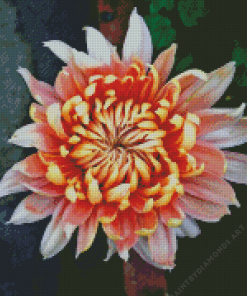 Chrysanthemum Peach Flower Diamond Painting