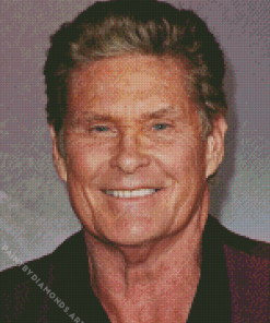 David Hasselhoff Diamond Painting