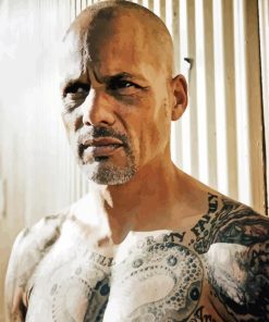 David Labrava Diamond Painting