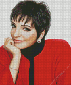 Liza Minnelli Diamond Painting