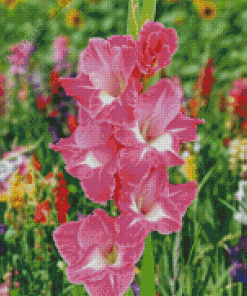 Pink Gladiolus Diamond Painting