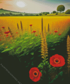 Poppies Filed Diamond Painting