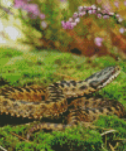 The Adder Diamond Painting