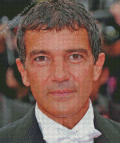 The Spanish Actor Antonio Banderas Diamond Painting