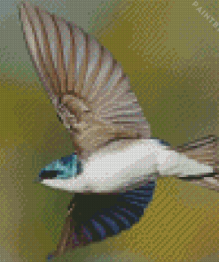 Tree Swallow Wings Diamond Painting