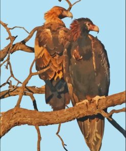 Two Wedge Tailed Eagle Birds Diamond Painting