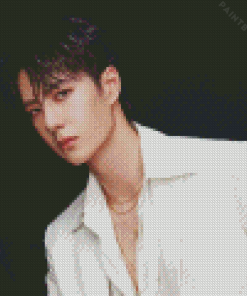 Wang Yibo Diamond Painting