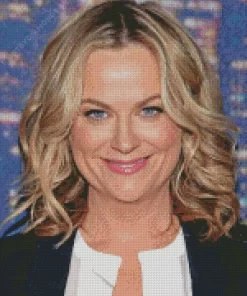 Amy Poehler Diamond Painting