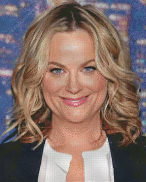 Amy Poehler Diamond Painting