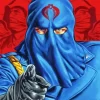 Cobra Commander Diamond Painting