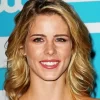 Emily Bett Rickards Diamond Painting