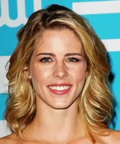 Emily Bett Rickards Diamond Painting