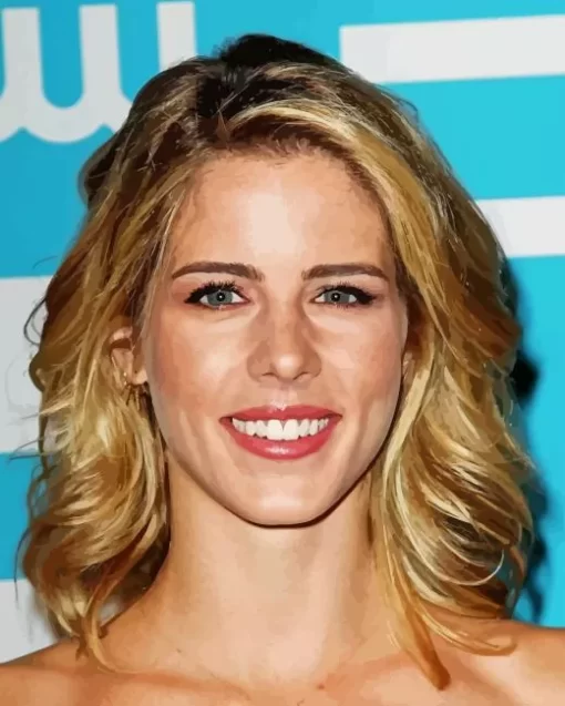 Emily Bett Rickards Diamond Painting