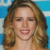 Emily Bett Rickards Diamond Painting