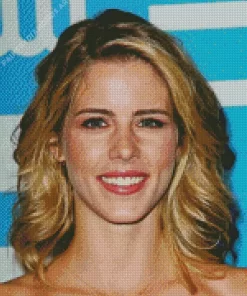 Emily Bett Rickards Diamond Painting