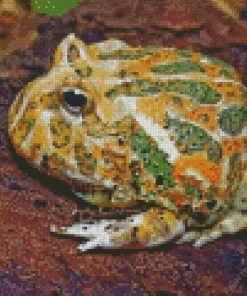 Horned Frog Diamond Painting