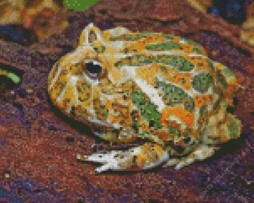 Horned Frog Diamond Painting