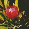 King Protea Diamond Painting