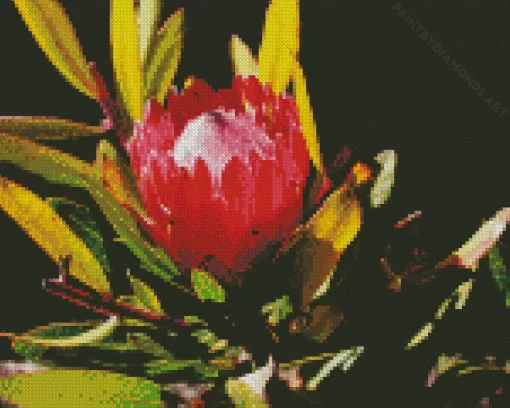 King Protea Diamond Painting