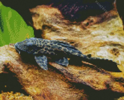 Pleco Catfish Diamond Painting