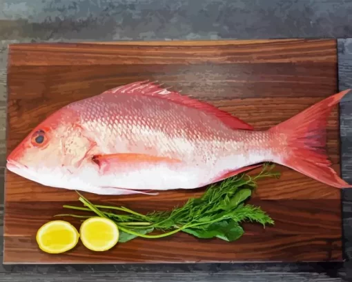 Snapper Fish Diamond Painting