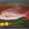 Snapper Fish Diamond Painting