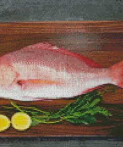 Snapper Fish Diamond Painting