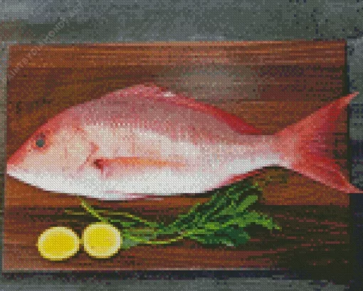 Snapper Fish Diamond Painting