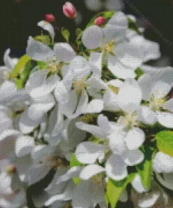 White Crabapple Diamond Painting