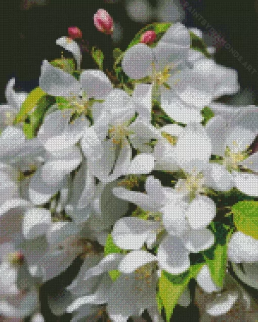 White Crabapple Diamond Painting