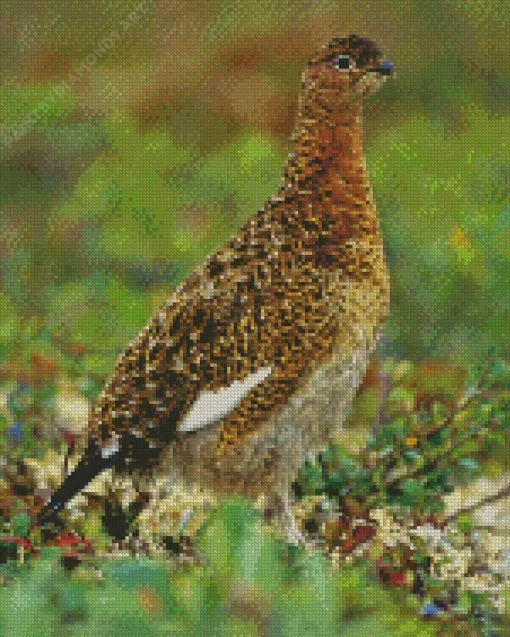 Willow Ptarmigan Diamond Painting