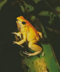 Golden Poison Frog Diamond Painting