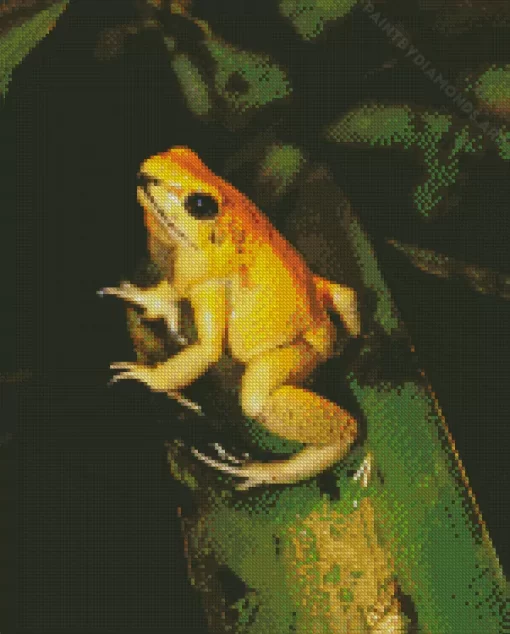 Golden Poison Frog Diamond Painting