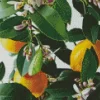 Lemon Plant Diamond Painting