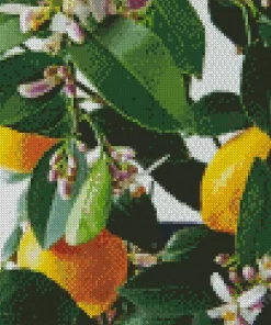 Lemon Plant Diamond Painting