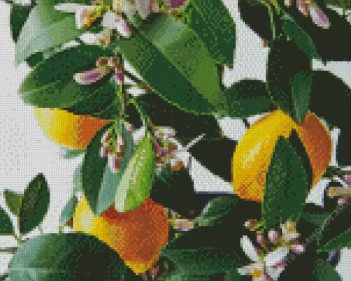 Lemon Plant Diamond Painting