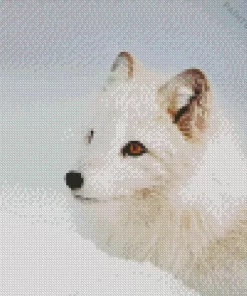 Winter Fox Diamond Painting