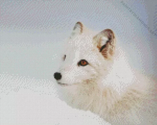 Winter Fox Diamond Painting