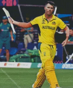 David Warner Diamond Painting