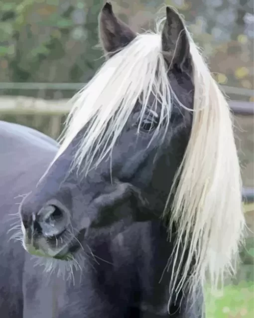 Black Horse With Blond Hair Diamond Painting