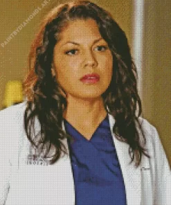 Callie Torres Diamond Painting